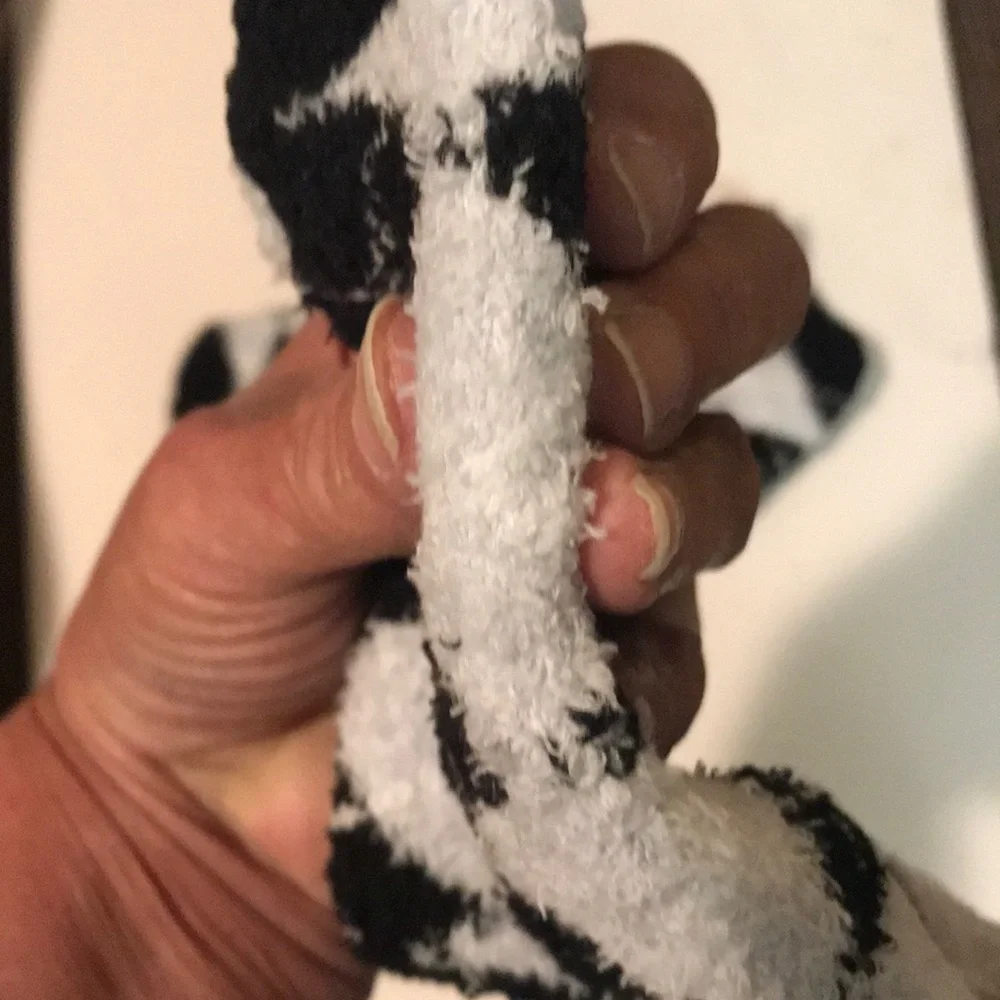 NWOT Women’s NFL Raiders Lounge Socks